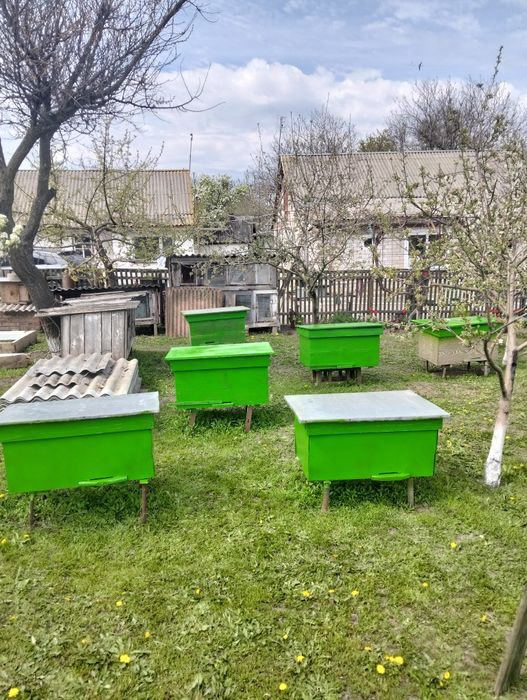 Продам вулики для бджіл