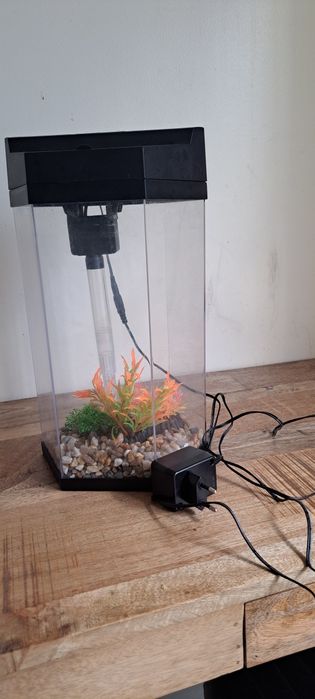 Aquário para peixes