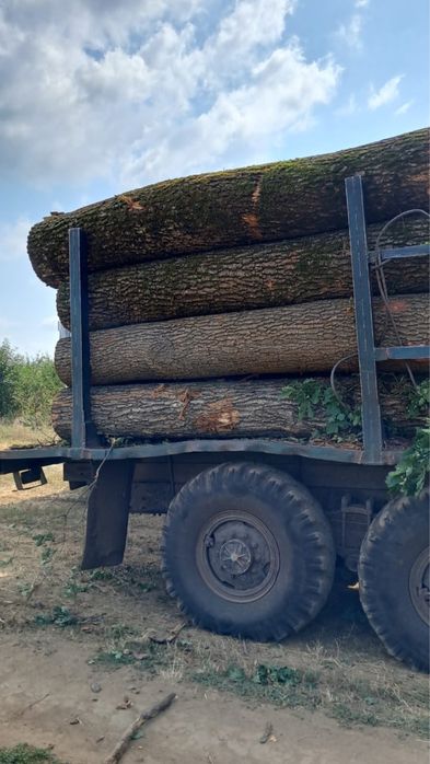 Покупець Дуб кругляк пиловник дошка дубова
