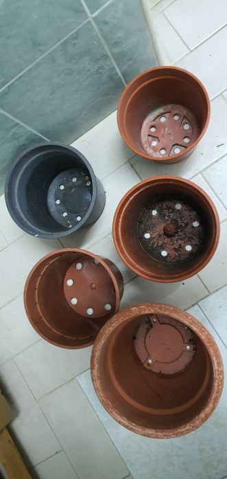 Vasos em.bom estado