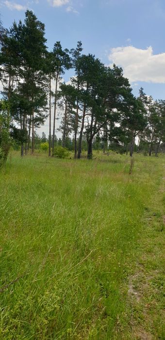 Продаж ділянки 40 сот., р-н Паперової фабрики