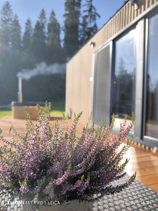 MAŁE MIEJSCE jacuzzi, święta, 23-25 grudnia