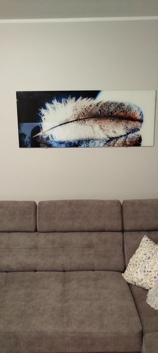 Obraz szklany 125x50