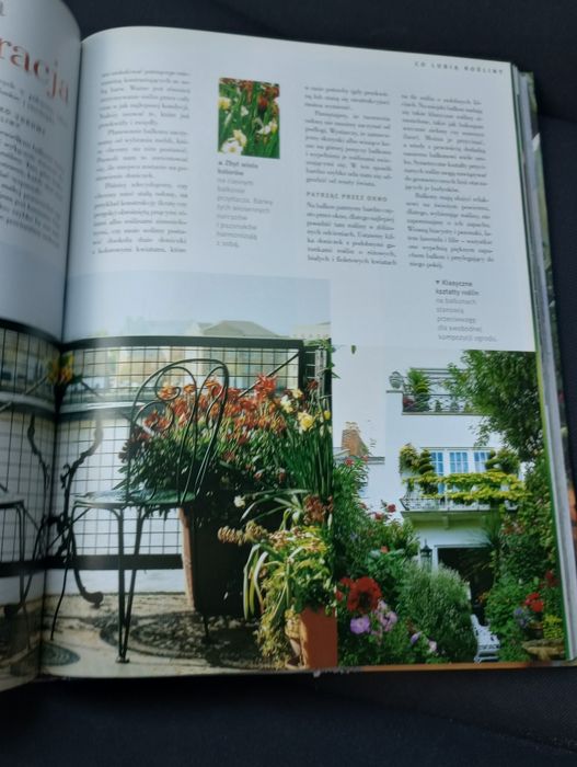 Ogród w doniczkach. Komponowanie, uprawa, pielegnacja