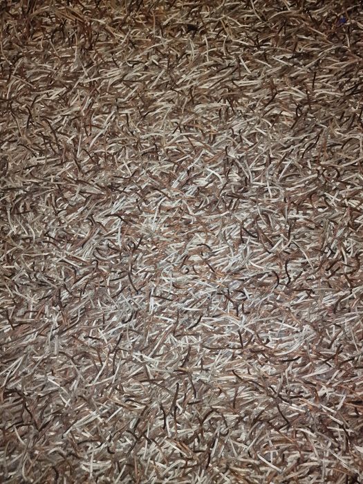 Carpete castanha 30€