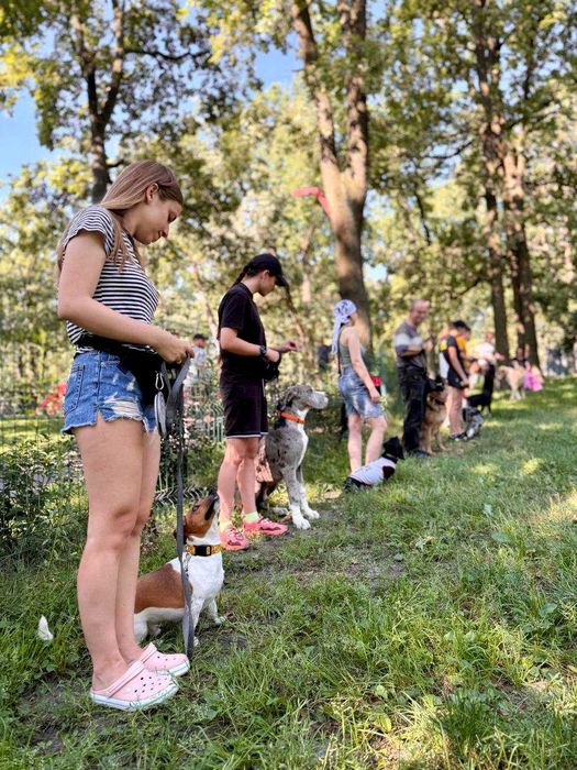 Групові заняття для собак майданчик