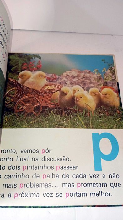 ABC dos Animais Familiares