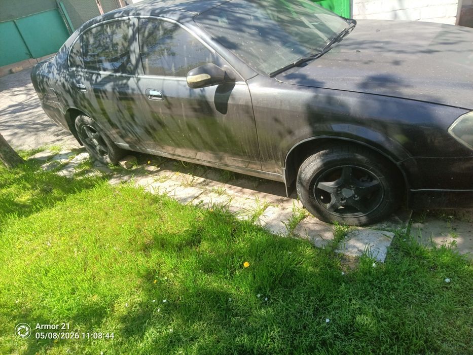 Продам Черри еастар