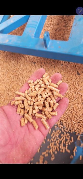 Pellet drzewny 6mm Wałcz • OLX.pl