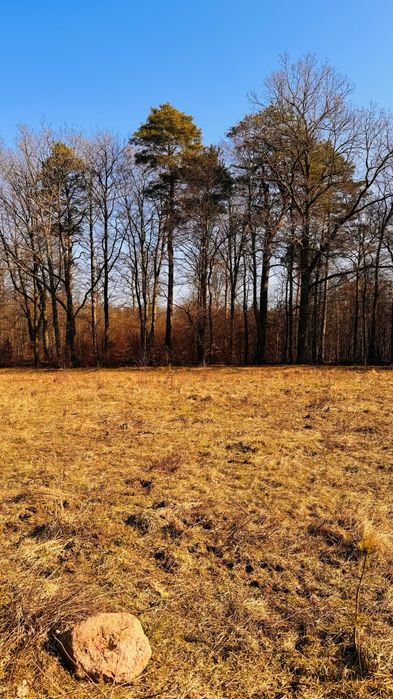 Sprzedam działkę budowlaną 1170 m² Czapielsk - Widok 3