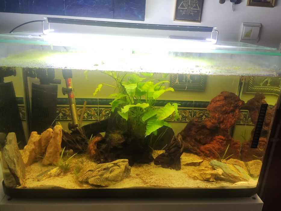 Aquário XXL 100LT