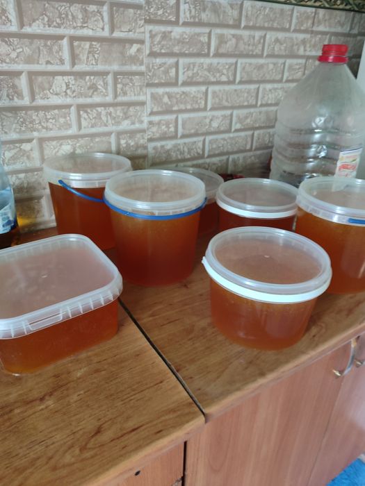 Вкусный мёд, натуральный мед, разнотравье різнотрав'я