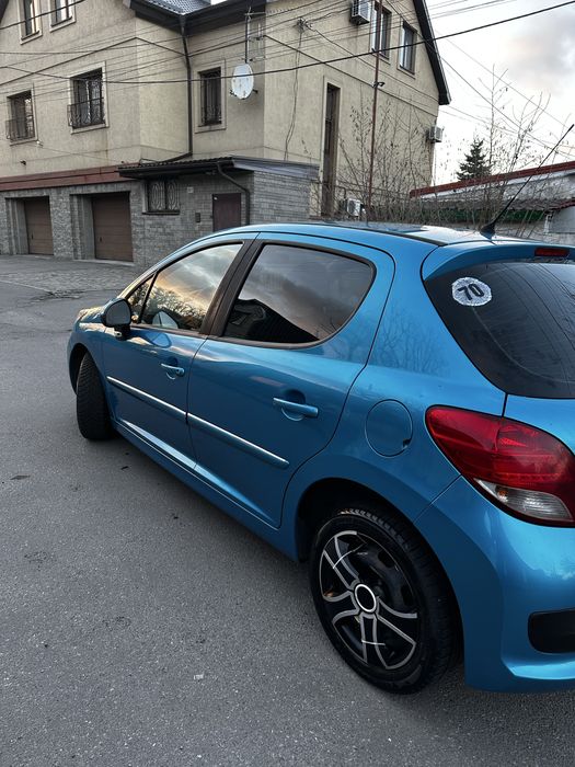 Продам пыжика в хорошем состоянии.