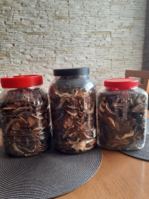 Grzyby suszone prawdziwek podgrzybek⁰