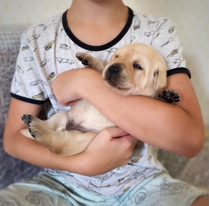 Суперові дітки у розпліднику КСУ.