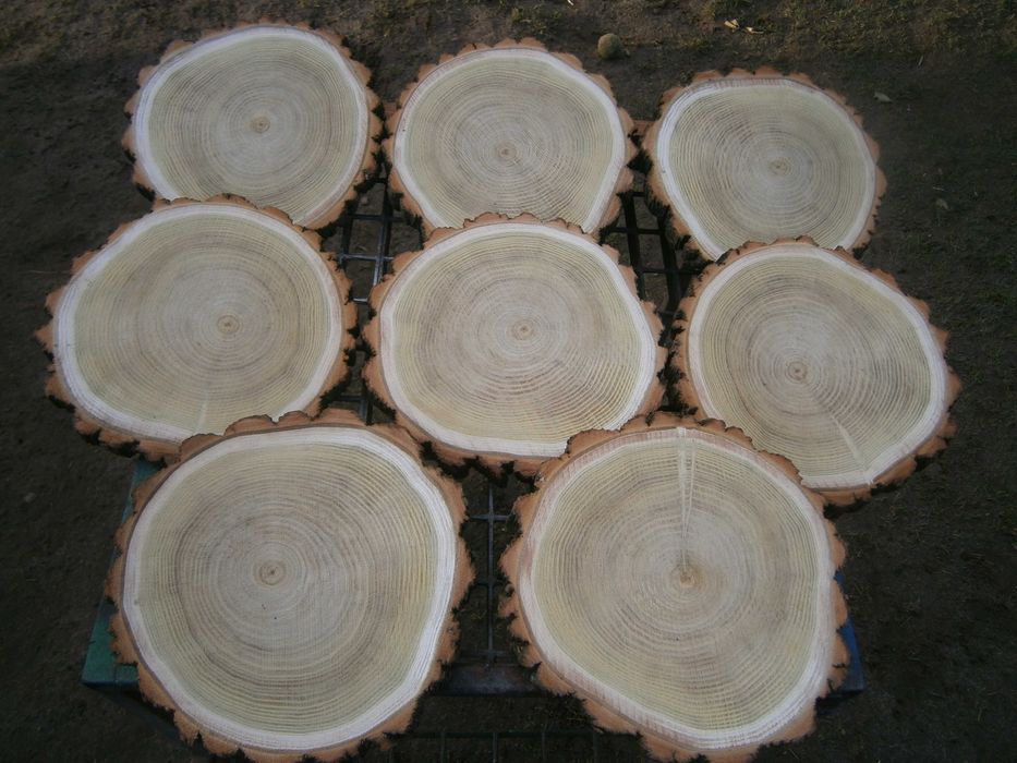 plaster drewna,podstawka pod talerz garnek