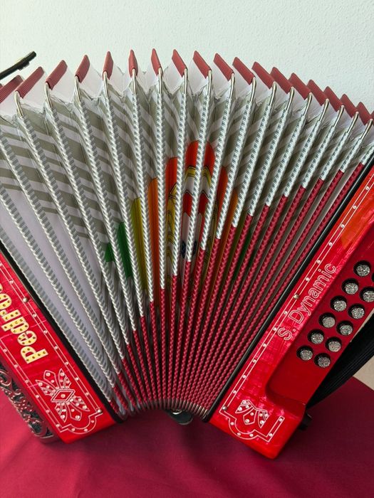 Concertina e acordeão