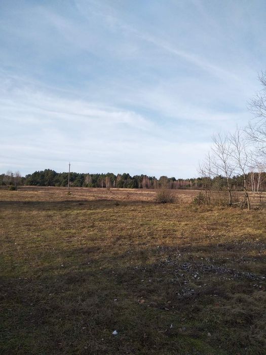 Будинок с.Копилля