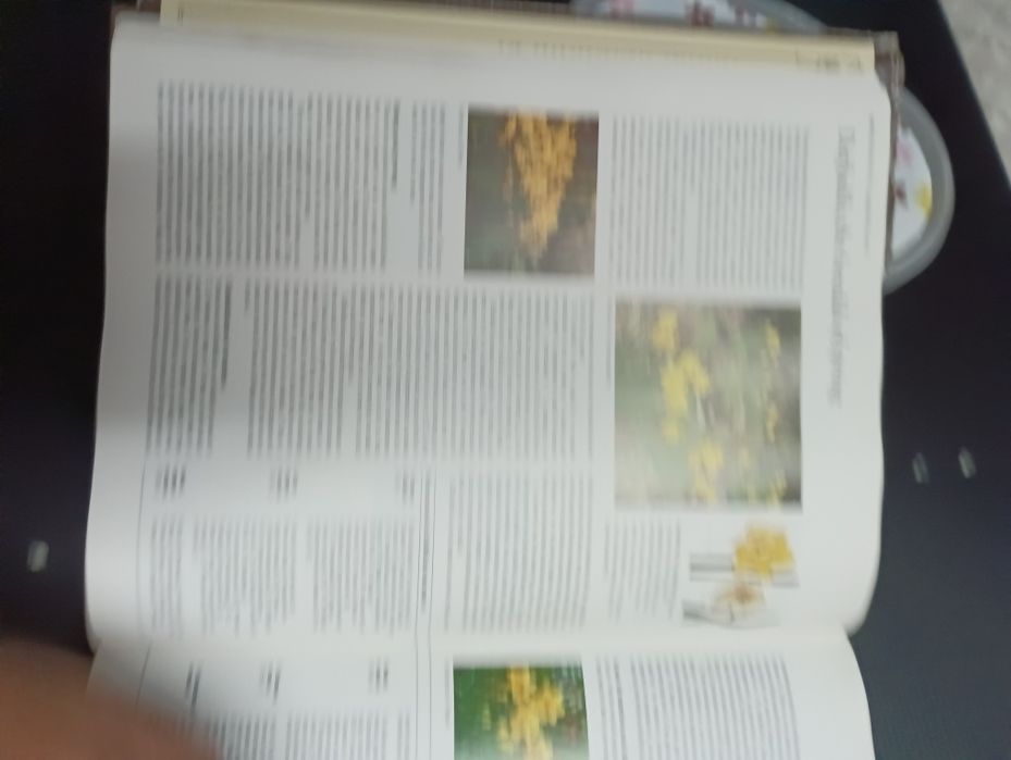 O livro completo da jardinagem