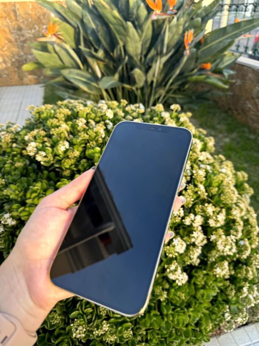 iPhone 12 Pro Max 128gb