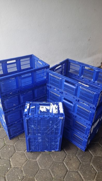 Caixa Transporte Plástico