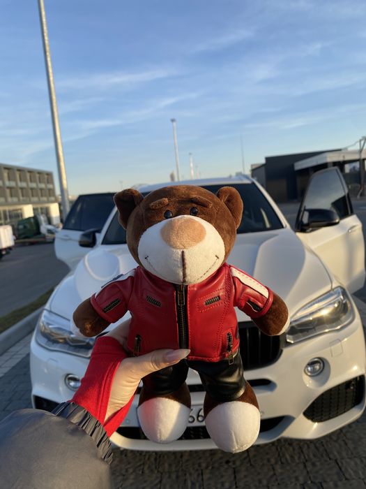 Мʼякі ведмедики BMW