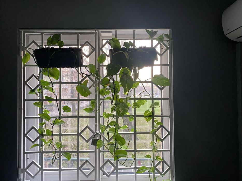 Настольная.  игра