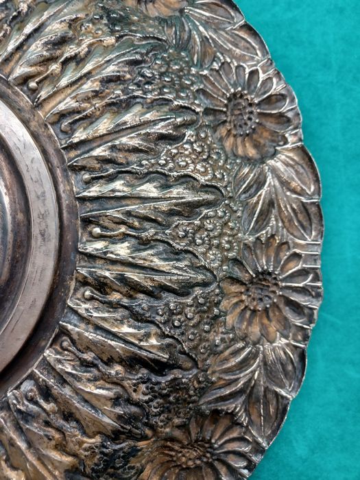 Grande salva em casquinha