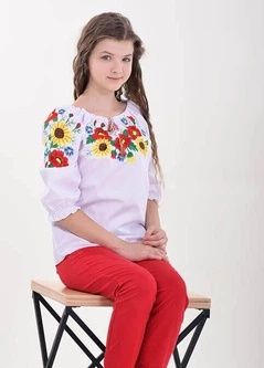 Вишиванка та спідниця