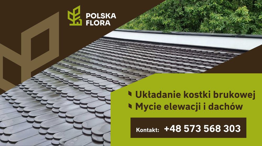 Mycie kostki brukowej, elewacji i dachu. BEZPŁATNA WYCENA