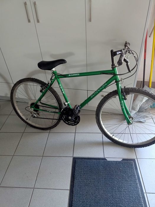 Bicicletas de adulto