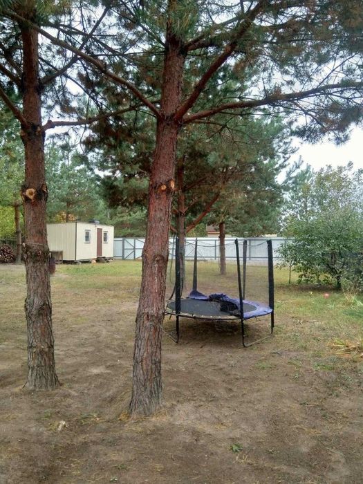 Продаж ділянки в 35 км від Києва в СТ "Стави" (с. Липовий Скиток)