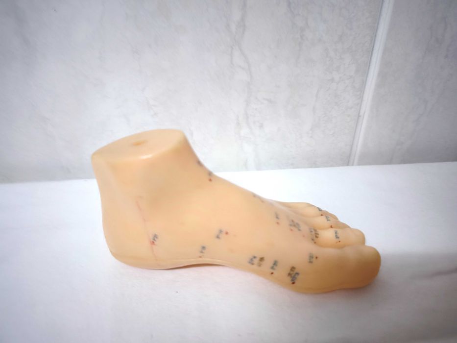 MTC - figura microssistema do pé