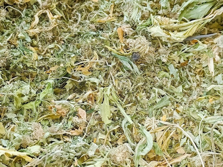 Trym konopi CBG 250g Vanilla Ice CBD