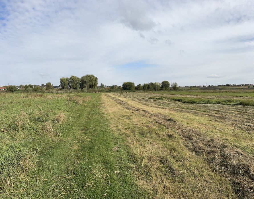 Земельна ділянка Підгайці . 35 сотих