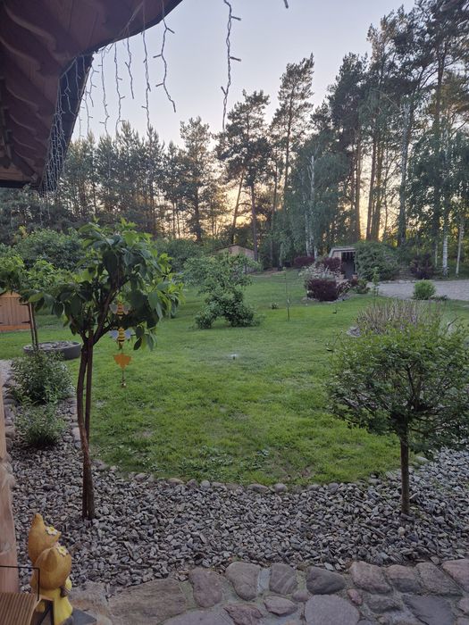 SIEDLISKO pod lasem na Podlasiu