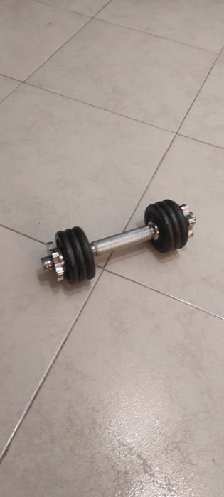 Bohinger Dumbbells with Discs64176777264515120