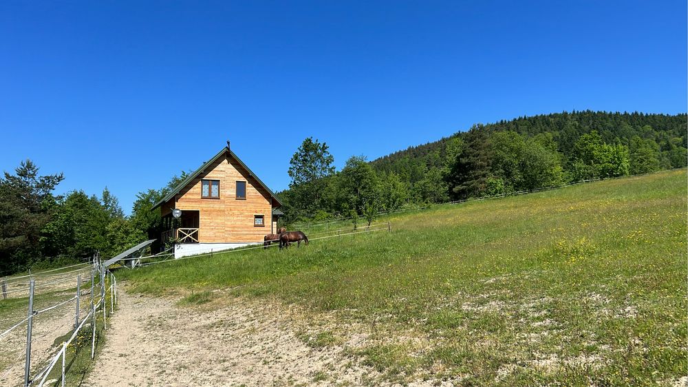 Domek w górach Beskid Niski