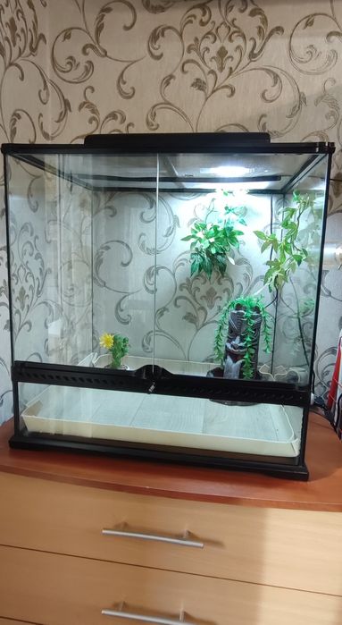 Большой террариум Exo Terra для игуаны, хамелеона, геккона и других ре