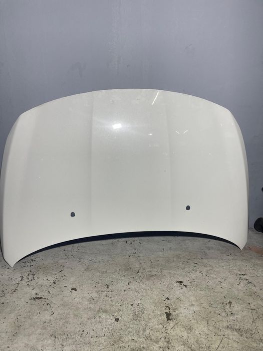 Capô do Fiat Punto 2019