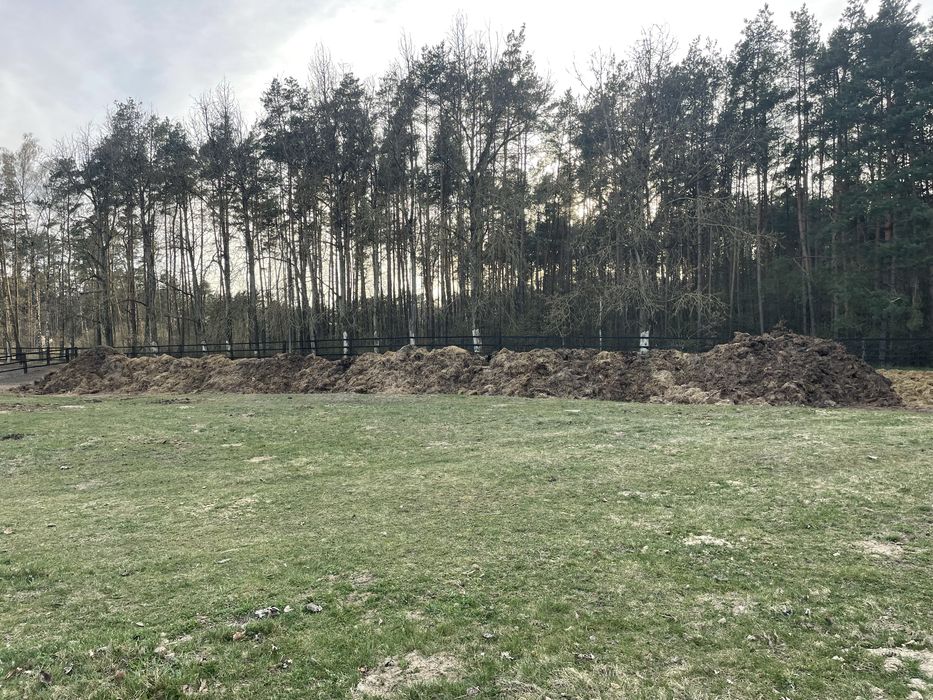 Obornik koński pryzmowany