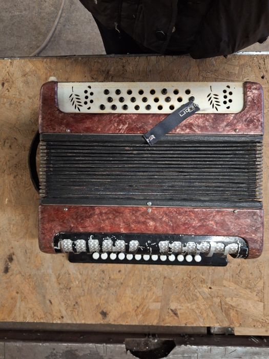Garmon, harmonia, mały akordeon