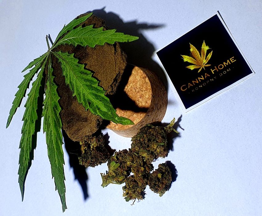 HASZYSZ 100g CBD9% hashish hasz hash Cannabis Sativa Full spectrum