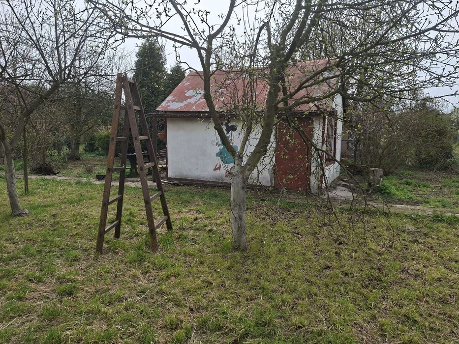 Działka rekreacyjna ROD 40lecie Legnica
