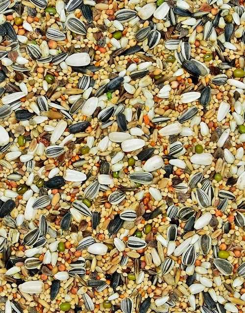 Karma pokarm miszanka dla papug średnich MDM 20kg