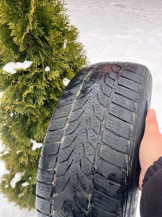 Шина для автомобіля