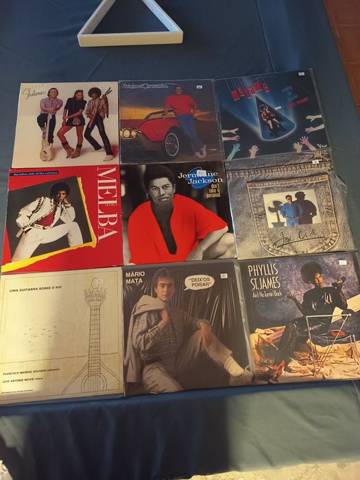 Lote de vinis a €10 a unidade