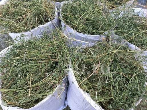 ДОСТАВКА ОТ 1 ШТ  сено сіно в тюках мешках (люцерны и др). По наличию.