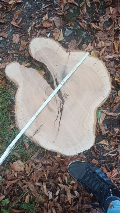 Plastry drzewa suszone i strugane