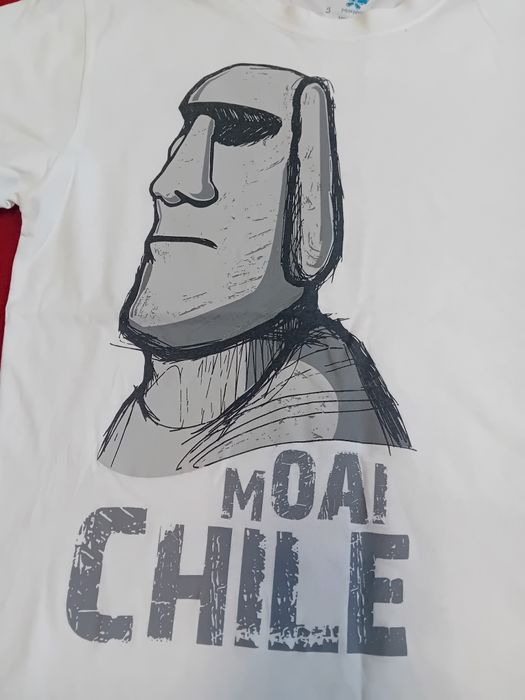 #Morpho T-shirt biały szary Moami Chile S